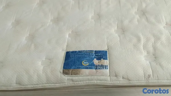 muebles y colchones - Colchon King con doble pillow top 4