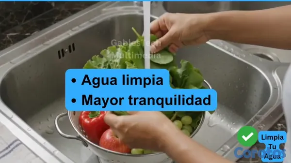 servicios profesionales - limpia toda el agua de tu casa con Twin Oxide 3