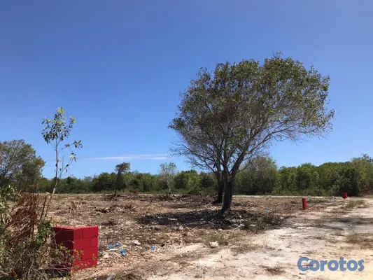 solares y terrenos - Terreno detrás de Espalliat Motors Punta Cana 8