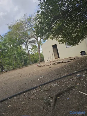 solares y terrenos - Se vende este terreno esta ubicado en bayaguana  5