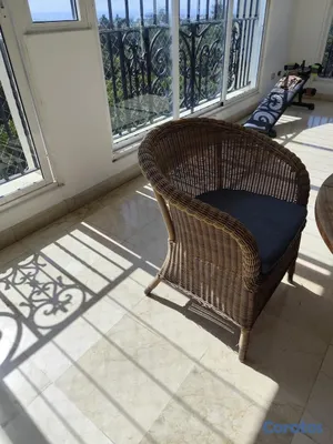 decoración y accesorios - Venta de conjunto de muebles clásicos y de terraza 9