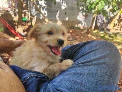 seller-logo