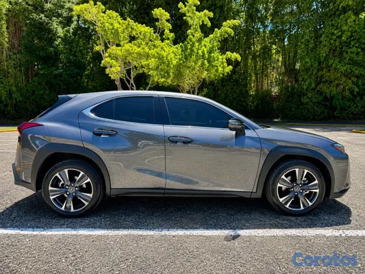 jeepetas y camionetas - Lexus UX300h 9