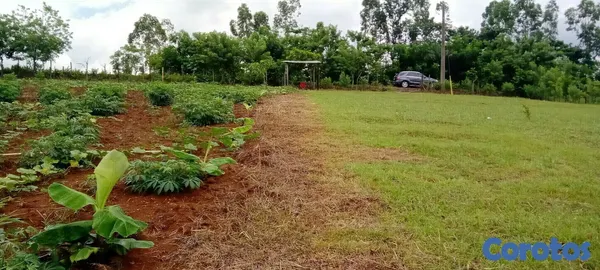 solares y terrenos - Vendo Hermoso Terreno/Finca en Villa Altagracia, Proyecto Hacienda Maria.  6
