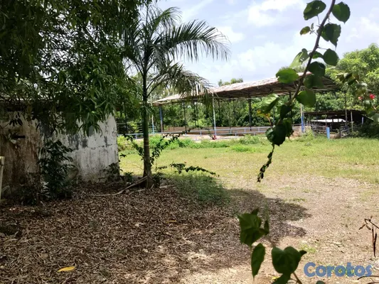 solares y terrenos - finca de 3000 tareas con vocación agrícola en Monte Plata  2