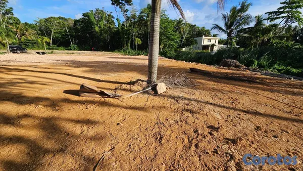 solares y terrenos - Terreno A 3 Minutos de Playa Ballenas, Rodeado de Villas de Lujo 4