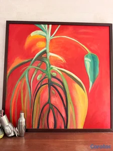 Cuadros decorativos 