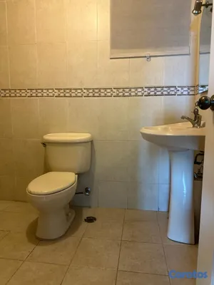 apartamentos -  Apartamento En Venta Urbanizacion Real 15