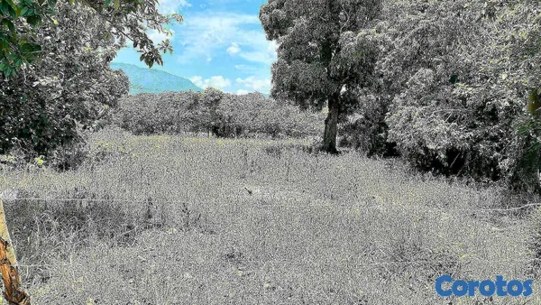 solares y terrenos - VENDO SOLAR EN JARABACOA 8