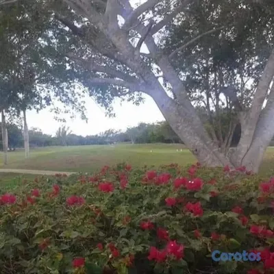 solares y terrenos - Se vende de Oportunidad 2 solares ambos con titulos en Miramar Contry Club!! 4