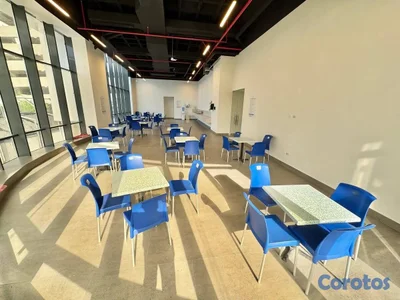 OFICINA EJECUTIVA NUEVA EN ALQUILER – PIANTINI  