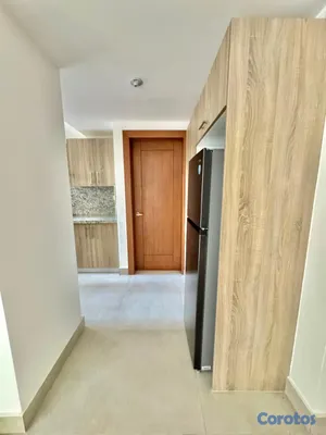 apartamentos - Apartamento con linea blanca en alquiler en Evaris 5