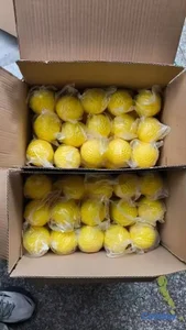 Pelota de goma de hoyitos 