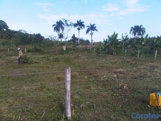 solares y terrenos - Terreno en Sabaneta de Yasica a 7 minutos de cabar 13