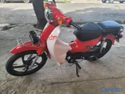 motores y pasolas - Super cub 110 Gato