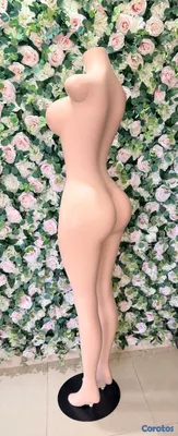 equipos profesionales - maniquí cuerpo completo lipo.  2