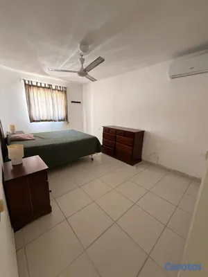 apartamentos - Alquilo apartamento 1 hab  3
