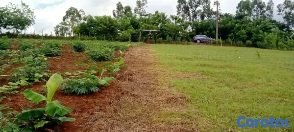 solares y terrenos - Vendo Hermoso Terreno/Finca en Villa Altagracia, Proyecto Hacienda Maria.  6