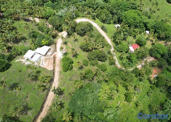 solares y terrenos - Vendo Terreno entre La Pascuala-Río los Cocos,SAMANÁ,Rep.Dominicana  6