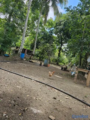solares y terrenos - Se vende este terreno esta ubicado en bayaguana  9