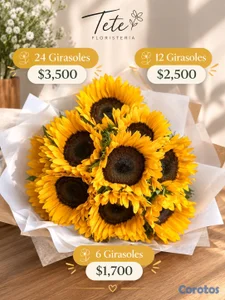 Tetefloristeriard 