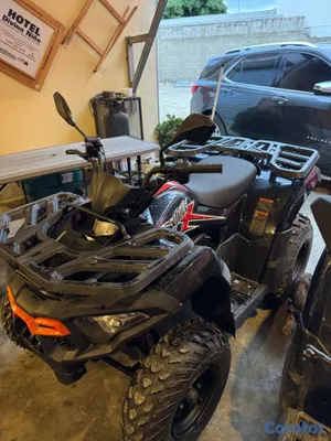 motores y pasolas - Loncin forweels 2025  4
