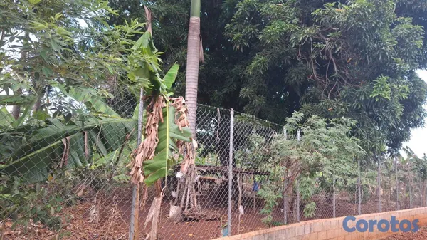 solares y terrenos - TERRENO EN VENTA – LAS GALERAS, SAMANÁ  FRENTE A L 2