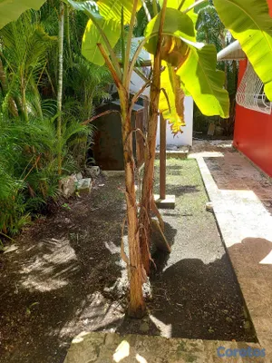 casas - Boca Chica casa en venta de oportunidad 158 metros 10
