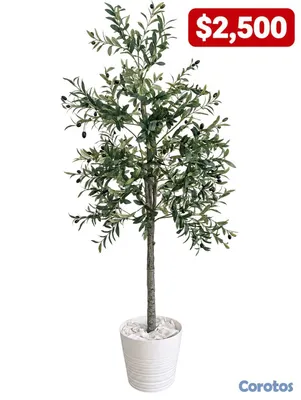 decoración y accesorios - Planta artificial de olivo 2