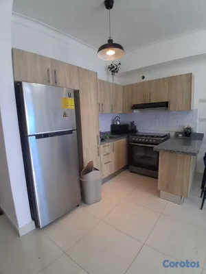apartamentos -  Apartamento Amueblado en Alquiler zona Universita 3