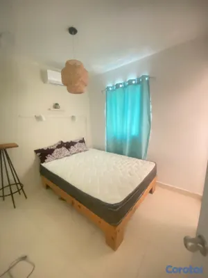apartamentos - Apartamento para enfermeras y médicos  Residentes o Profesionales de traslado  3