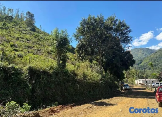 solares y terrenos - Finca en Venta Rancho Arriba  5