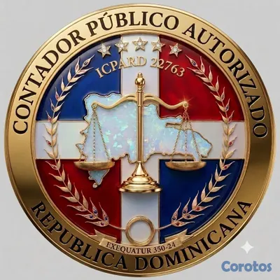 servicios profesionales - constitucion de empresas auditoria licitaciones proveedor del estado  3