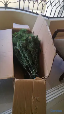 decoración y accesorios - Arbol de Navidad - 10 pies NUEVO 2