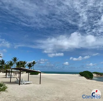 apartamentos - Apartamento de Lujo Amueblado en Alquiler · Aquama 20