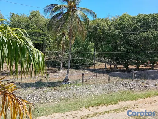 apartamentos - appartamento co teraza 11