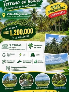 SEMBRADÍO DE COCOS CON VISTA PRIVILEGIADA 🌴🌅