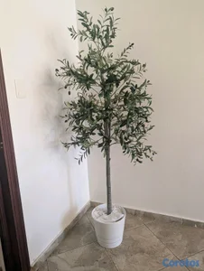 Planta artificial de olivo