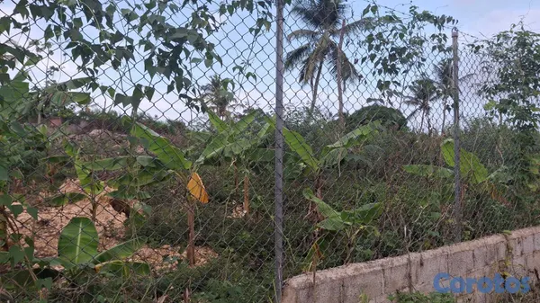 solares y terrenos - TERRENO EN VENTA – LAS GALERAS, SAMANÁ  FRENTE A L 4