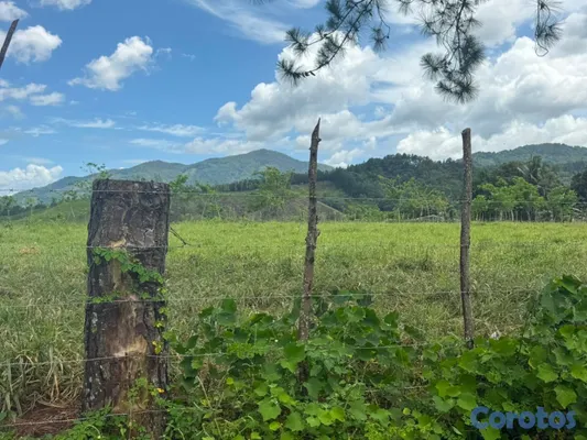 solares y terrenos - MAJAGUA🌳🍃😍 4