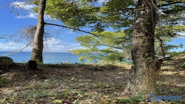 solares y terrenos - Terreno Exclusivo Frente al Mar en Carenero, Samaná 7