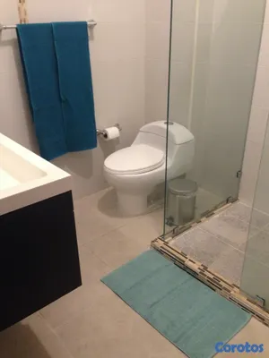 penthouses - Apto. en Gazcue, último piso con terraza 10