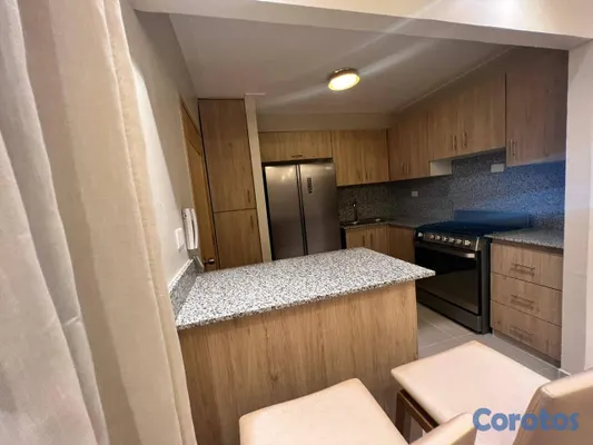 apartamentos - Venta de Apartamento con Terraza Privada en San Isidro 3