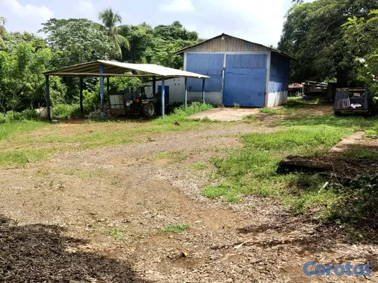 solares y terrenos - finca de 3000 tareas con vocación agrícola en Monte Plata  8