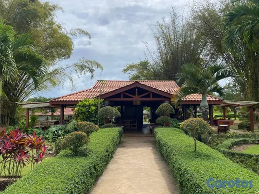 solares y terrenos - 🌿 ¡Descubre el Paraíso Natural en Lagos de los Reyes! San Antonio de Guerra. 5