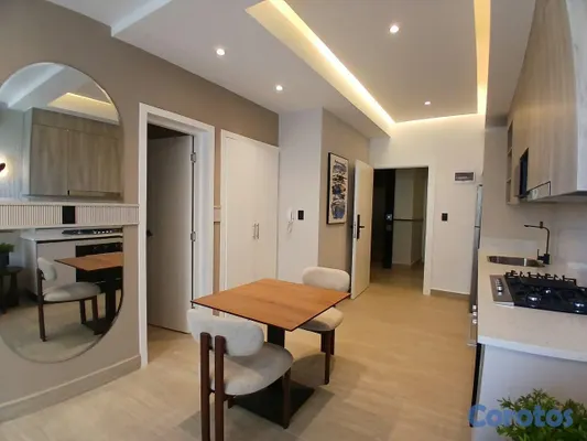 apartamentos - En alquiler confortable apartamento de 1 habitación en Bella Vista 5