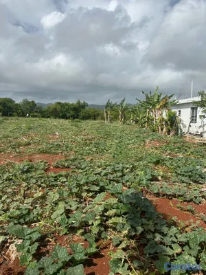 solares y terrenos - se vende en samana carretera playa ricon 2