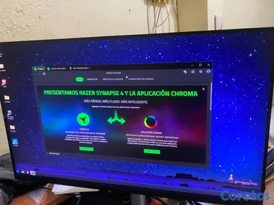 Monitor dell