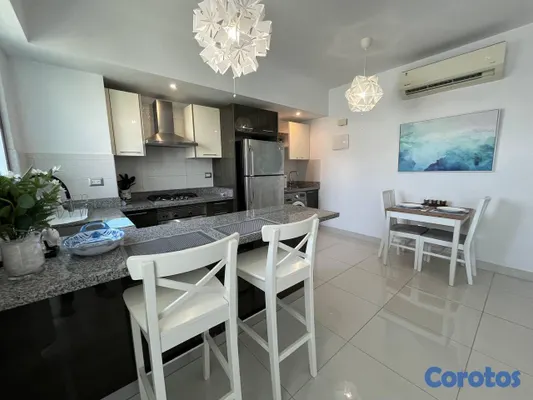 apartamentos - Apartamento en Alquiler en Piantini Amueblado de U 12