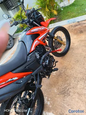 motores y pasolas - Loncin 2024 3